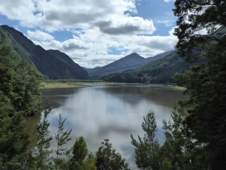 matiri_feb18_8_compressed