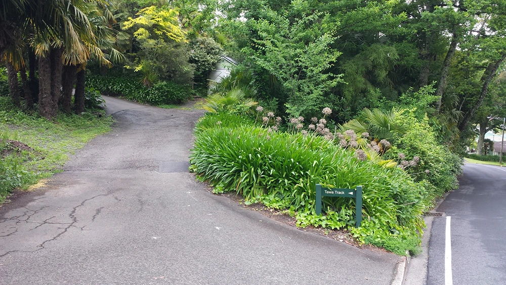 TawaTrackEntrance