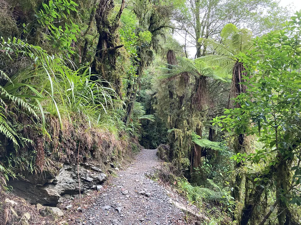 westport_apr22_93